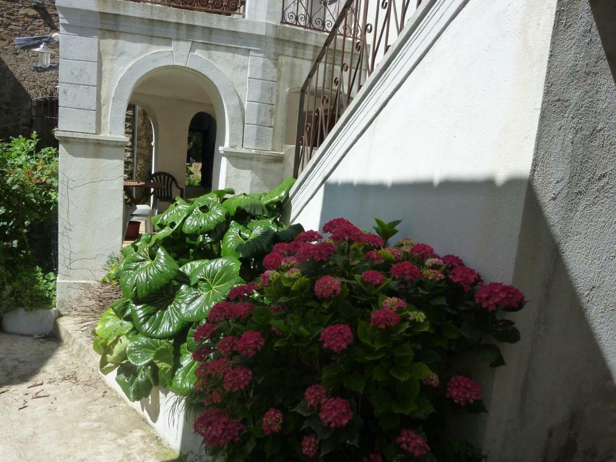 Bed and Breakfast Casale Lucrezia Каньяно Экстерьер фото